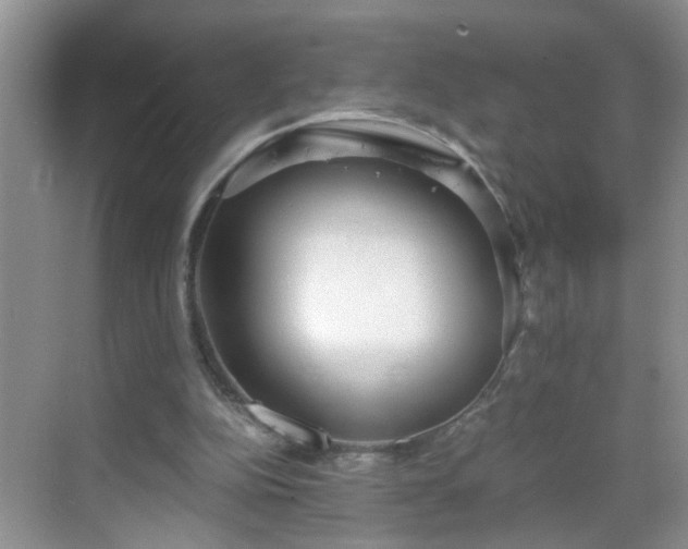 X0000068750152200605051549