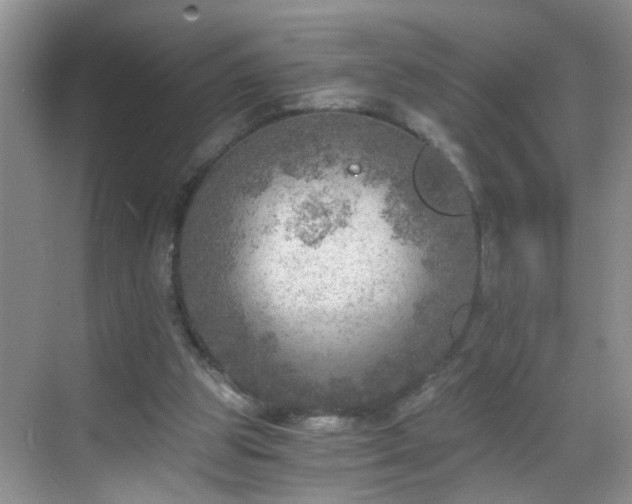 X0000068750153200605051549