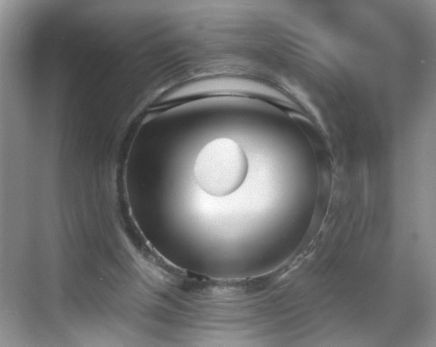 X0000068750154200605051549