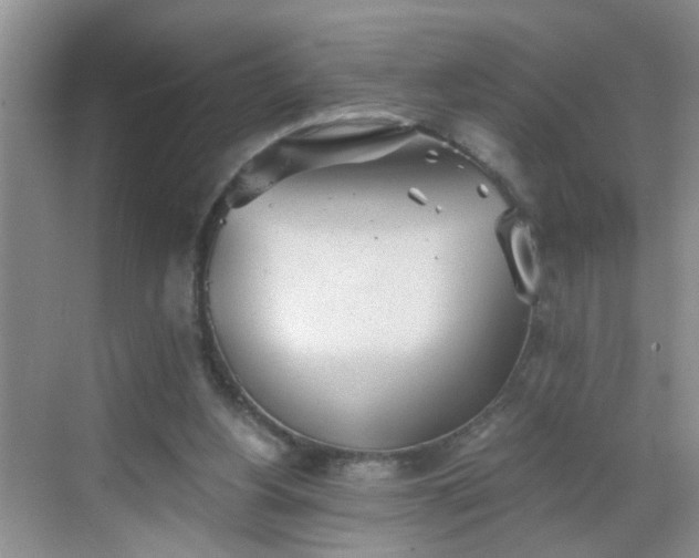 X0000068750156200605051549