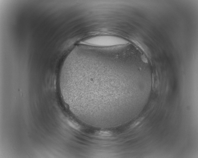 X0000068750157200605051549