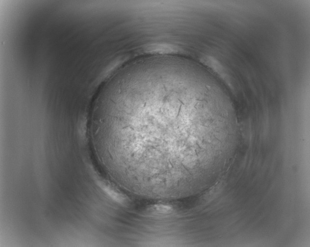 X0000068750159200605051549