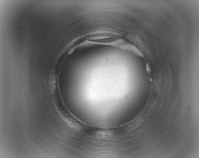 X0000068750160200605051549