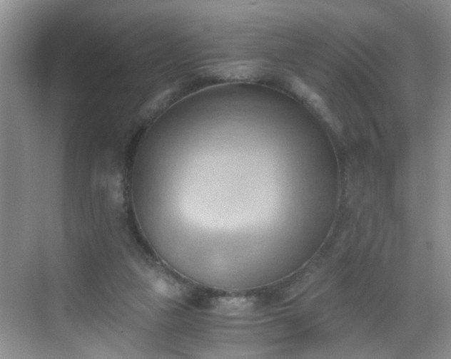 X0000068750161200605051549