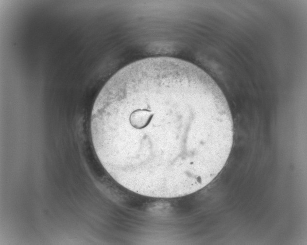 X0000068750162200605051549