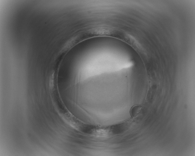 X0000068750163200605051549