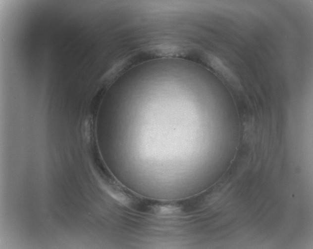 X0000068750165200605051549