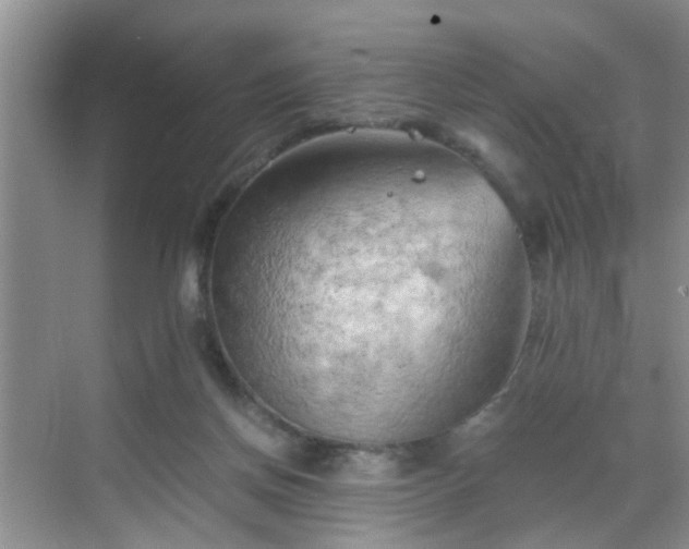 X0000068750166200605051549