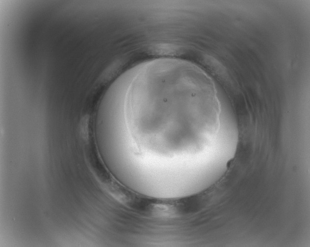 X0000068750167200605051549