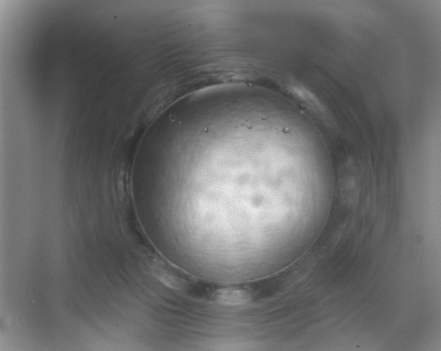 X0000068750169200605051549