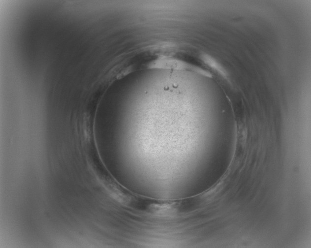 X0000068750170200605051549