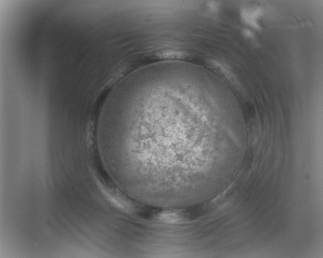 X0000068750171200605051549