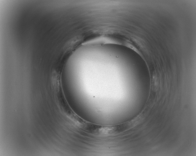 X0000068750172200605051549