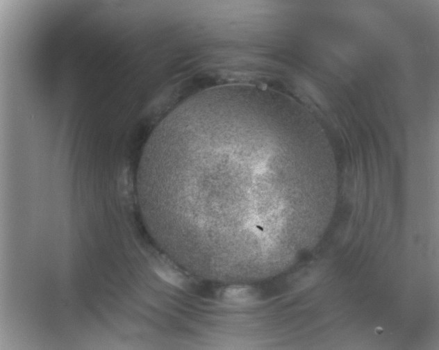 X0000068750173200605051549