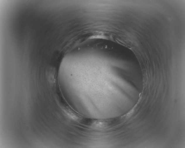 X0000068750174200605051549