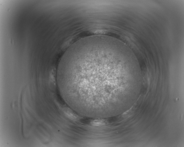 X0000068750175200605051549