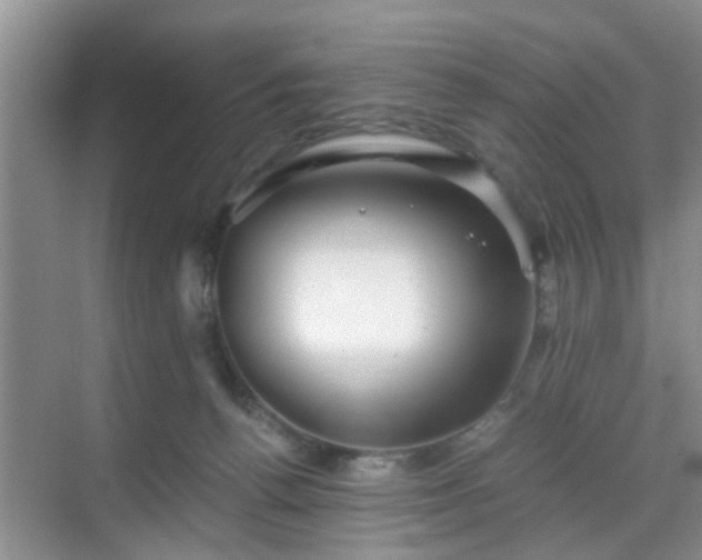 X0000068750176200605051549