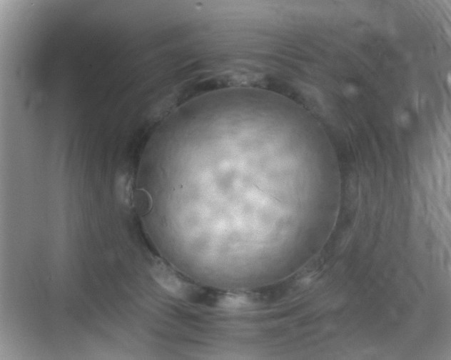 X0000068750177200605051549