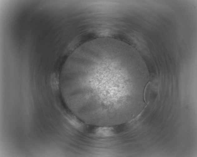 X0000068750179200605051549