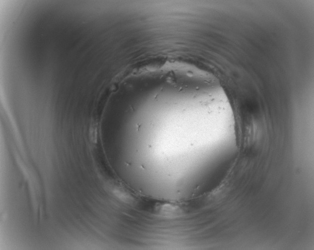 X0000068750180200605051549