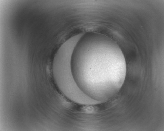 X0000068750181200605051549