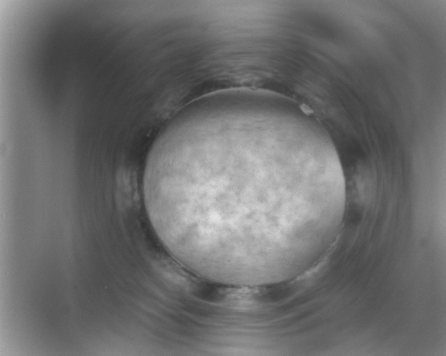 X0000068750182200605051549