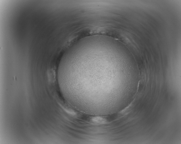 X0000068750183200605051549