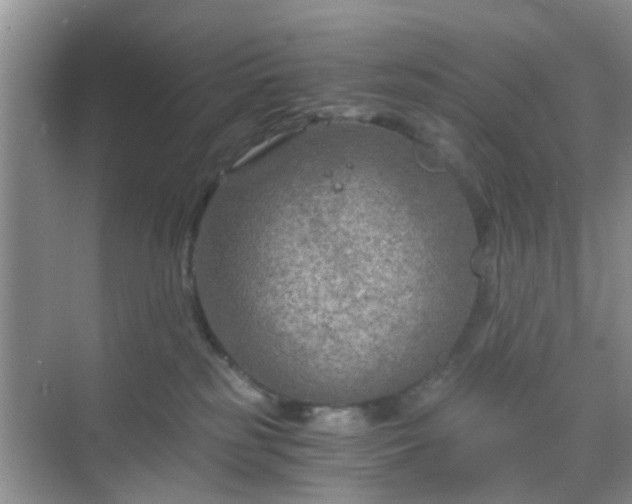 X0000068750185200605051549