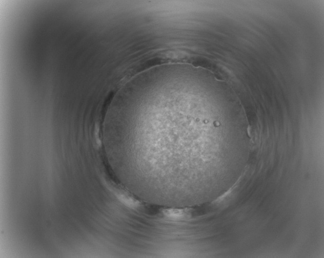 X0000068750187200605051549