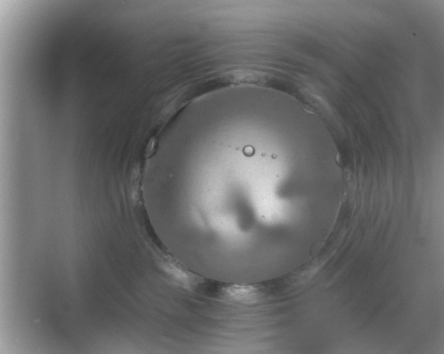 X0000068750189200605051549