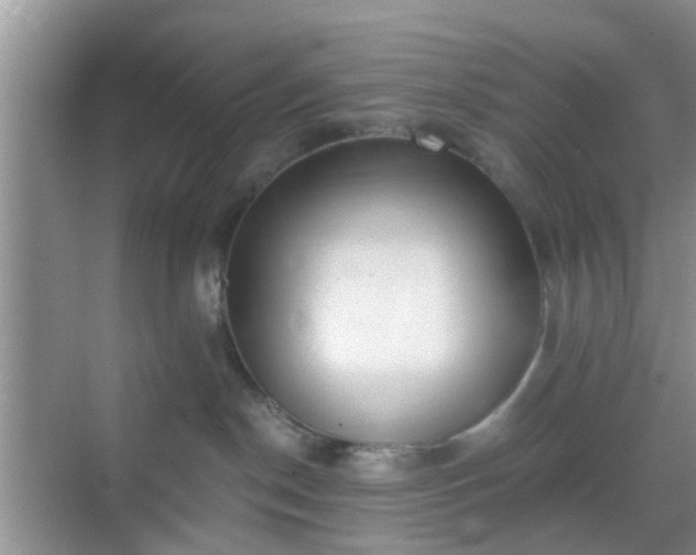 X0000068750190200605051549