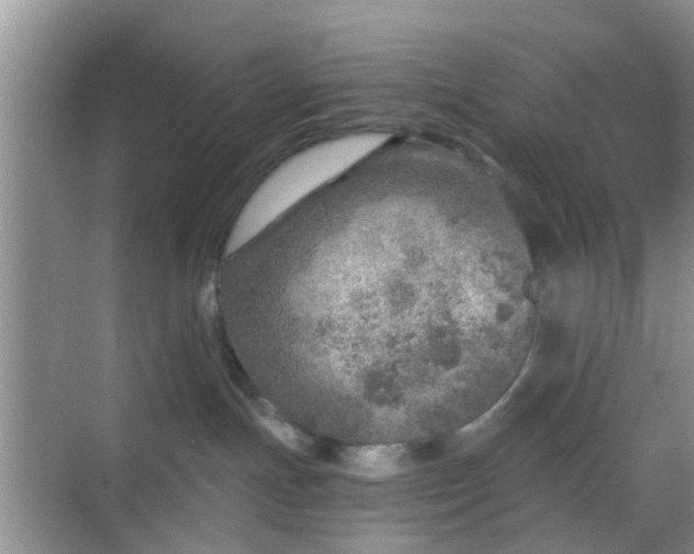 X0000068750191200605051549