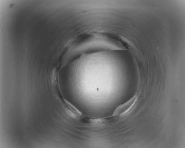 X0000068750192200605051549