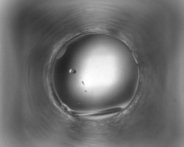 X0000068750193200605051549