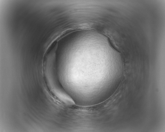 X0000068750194200605051549