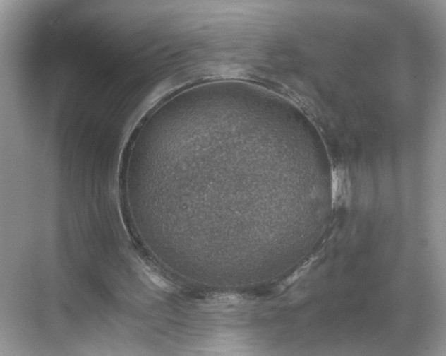 X0000068750195200605051549