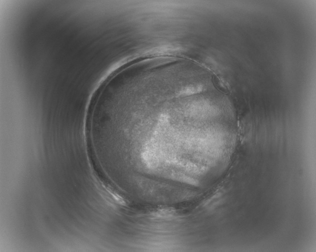 X0000068750196200605051549