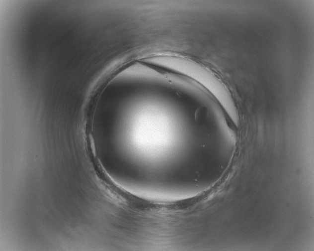 X0000068750197200605051549