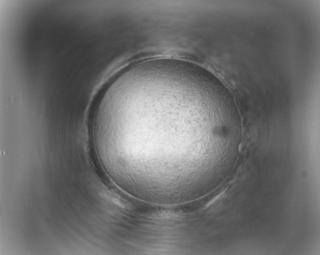 X0000068750198200605051548