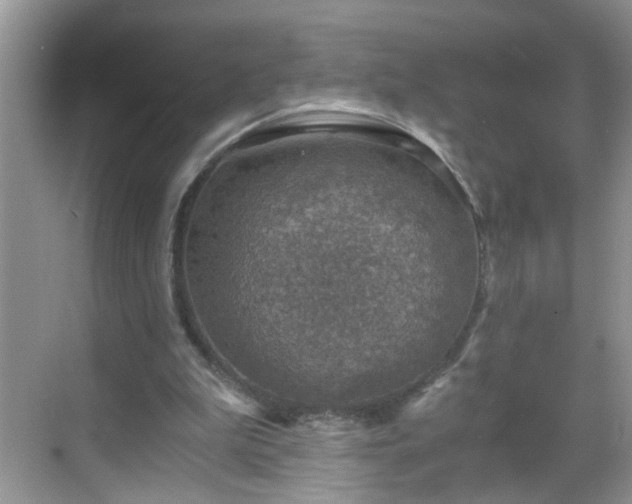 X0000068750199200605051548