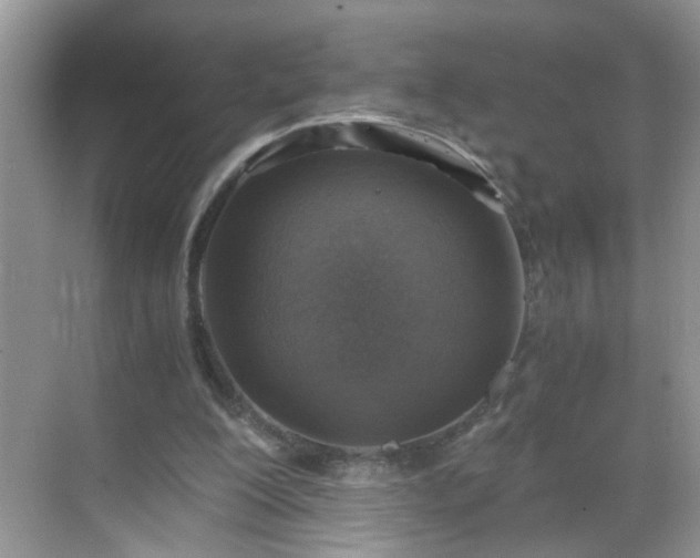 X0000068750200200605051548