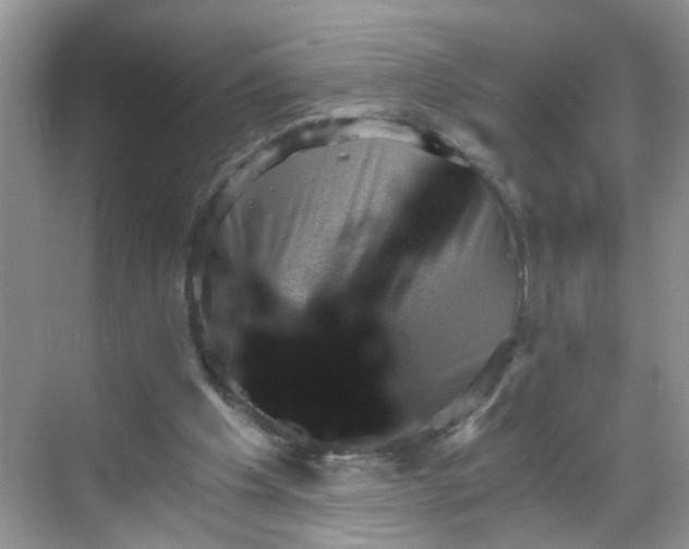 X0000068750201200605051548