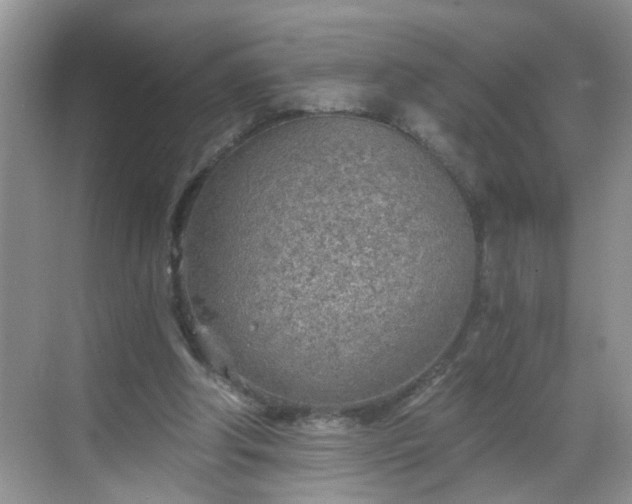 X0000068750202200605051548