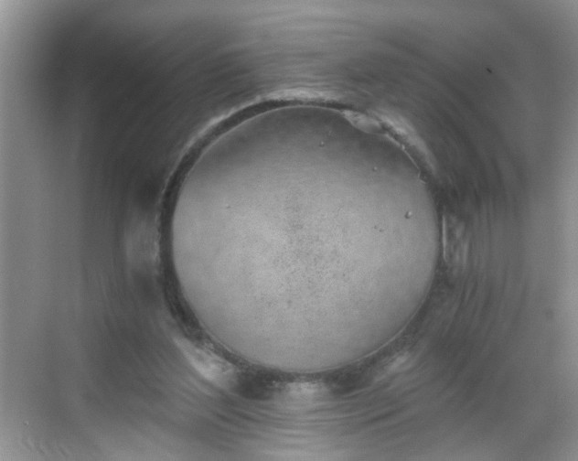 X0000068750204200605051548