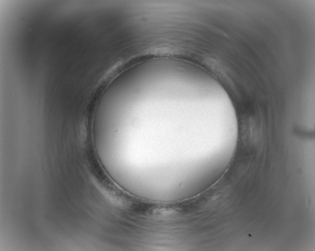 X0000068750208200605051548