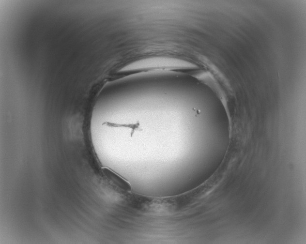 X0000068750209200605051548