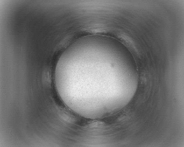 X0000068750210200605051548