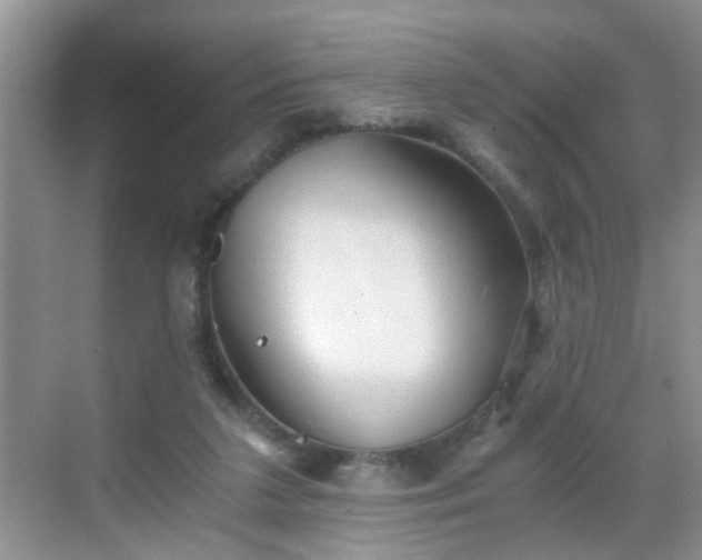 X0000068750211200605051548