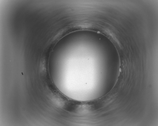 X0000068750212200605051548