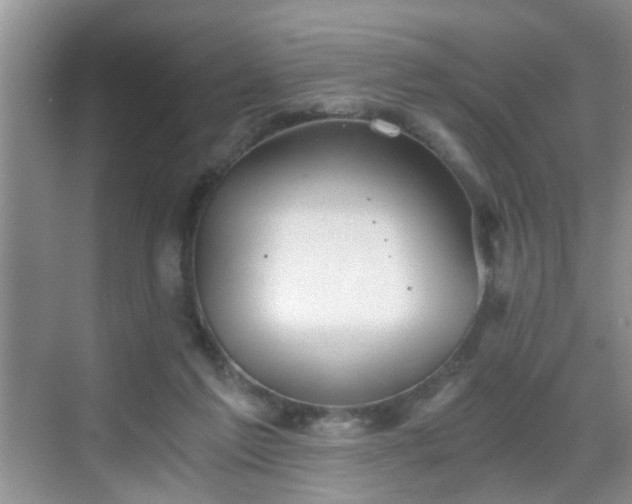 X0000068750213200605051548